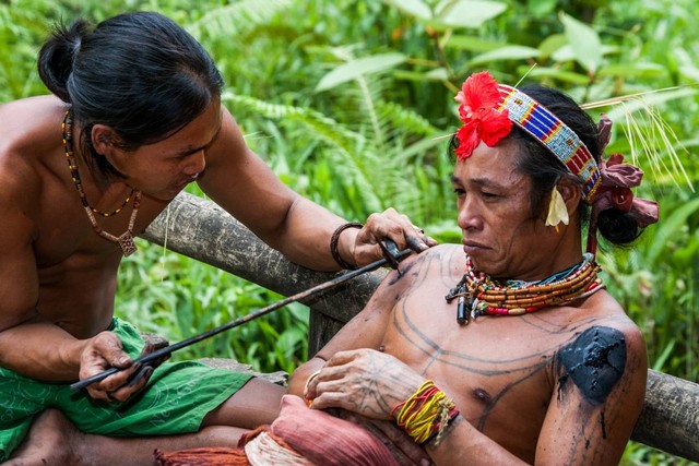 Tato Mentawai