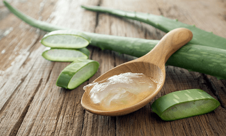 Manfaat Aloe Vera Nusantara