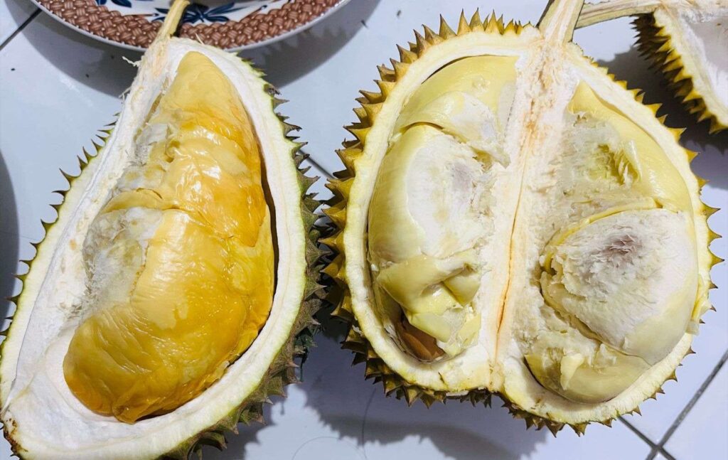 Durian Medan Premium: Raja Buah dengan Cita Rasa Kelas Atas