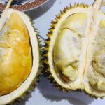 Durian Medan Premium: Raja Buah dengan Cita Rasa Kelas Atas