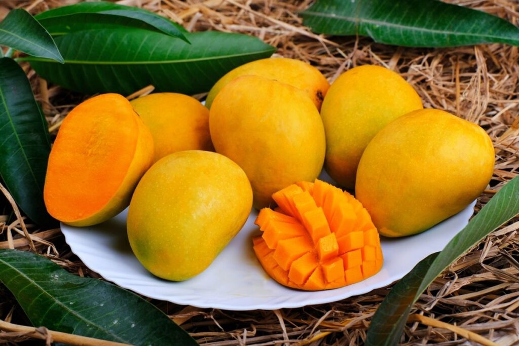 Mangga Indramayu. Buah Tropis Istimewa dari Jawa Barat