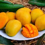 Mangga Indramayu. Buah Tropis Istimewa dari Jawa Barat