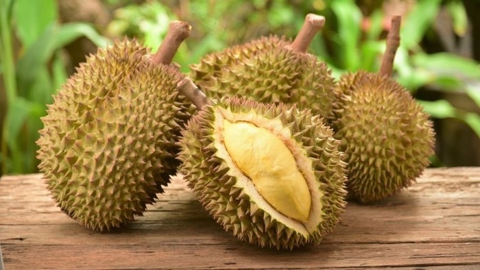 Durian Medan. Primadona Sumatera Utara yang Mendunia