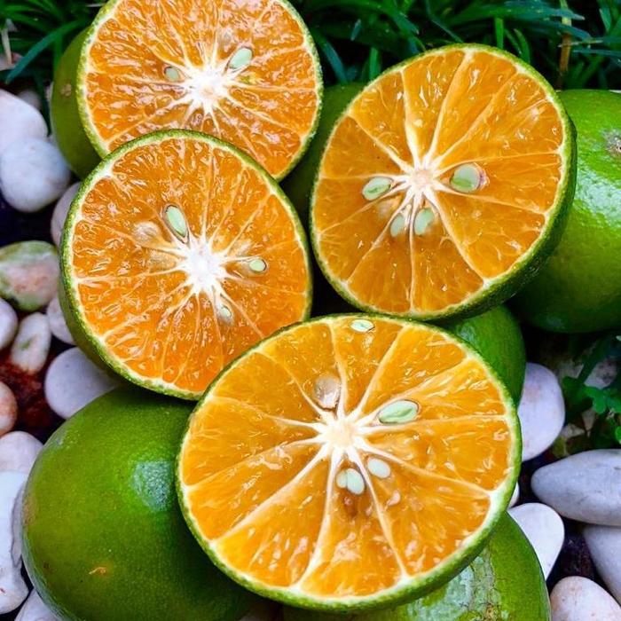Jeruk Pontianak. Buah Segar dari Kalimantan Barat